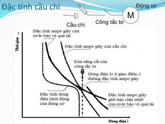 Theo đặc điểm