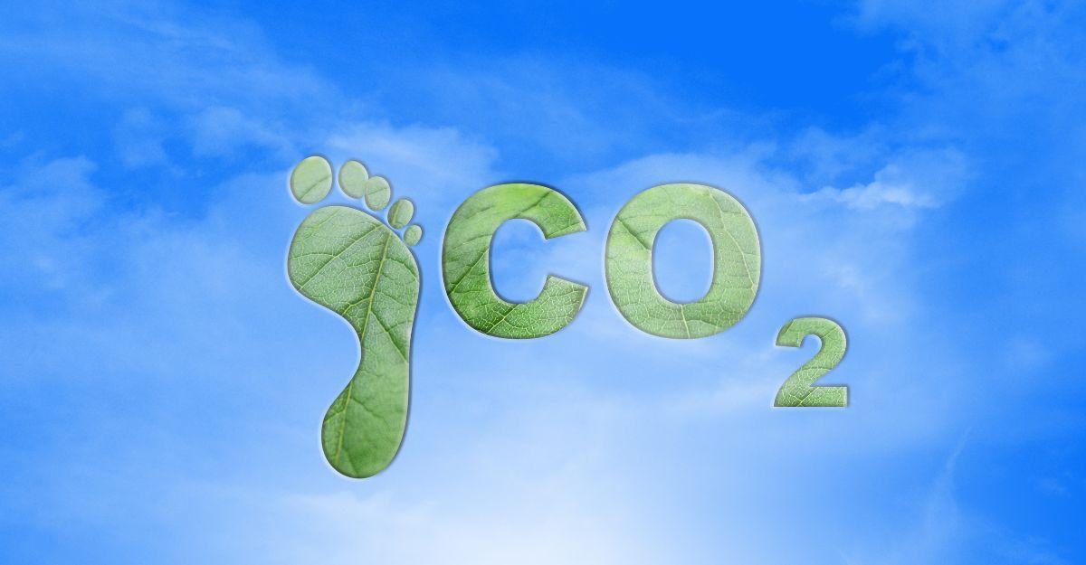 Carbon Footprint: Hành động vì môi trường bền vững