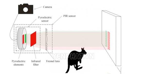 sơ đồ mạch cảm biến hồng ngoại phát hiện người | Điện Máy Yên Phát