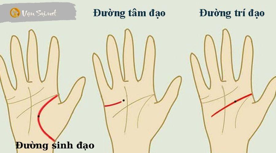 Bí mật ẩn sau 11 vị trí nốt ruồi trên bàn tay