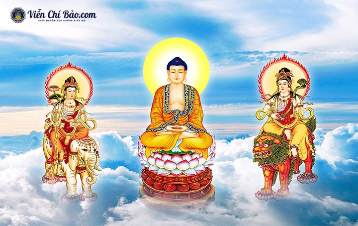 Phật Bản Mệnh Tuổi Tỵ: Vươn Lên Vượt Thách Thức